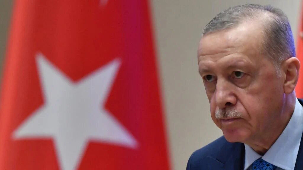 Erdogan's statement comes as his country seeks to play an active role in Syria (Vyacheslav Oseledko/AFP)