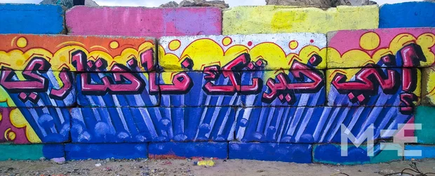 Graffiti was welcomed by the Tamer Institute (MEE/Creede Newton)