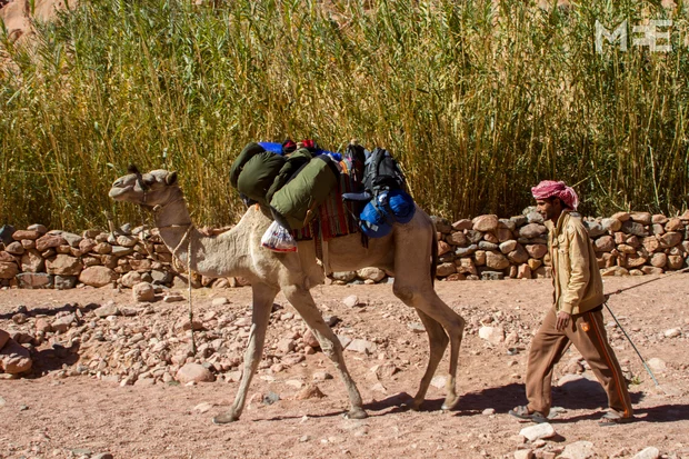 The South Sinai Community Foundation is encouraging Bedouins to go back to their roots (MEE/Max Siegelbaum)