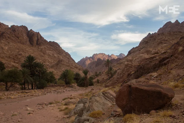 Local Bedouins from the Jabaliya and other tribes recently organised a couple of treks in the mountains around Saint Katherine. Their message: 'South Sinai is safe' (MEE/Max Siegelbaum)