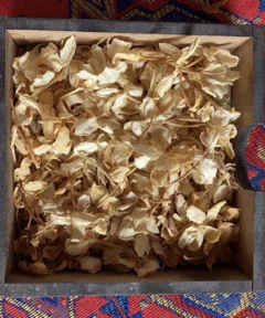 syria jasmine festival