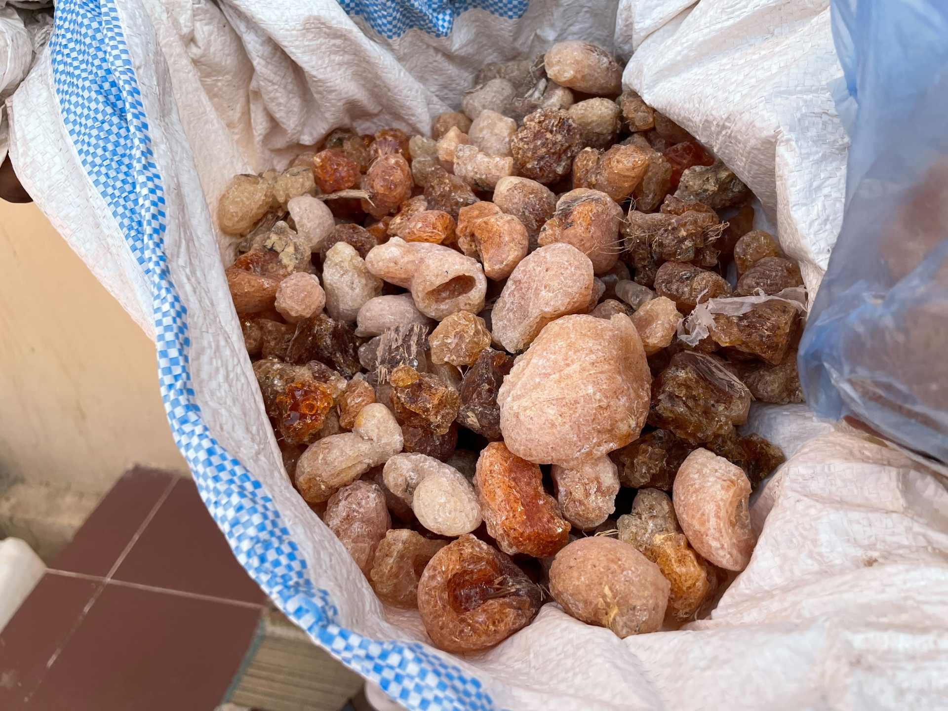 Gum arabic (Daniel Hilton/MEE)