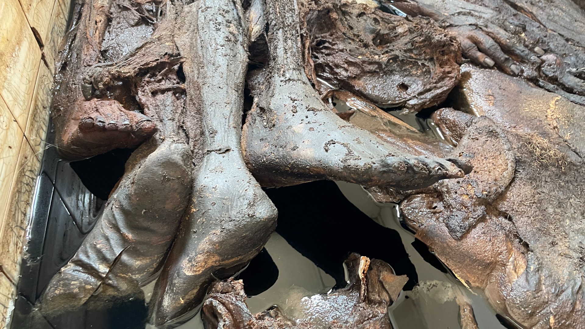 A body can be seen at a morgue in a university used by the RSF (Daniel Hilton/MEE)