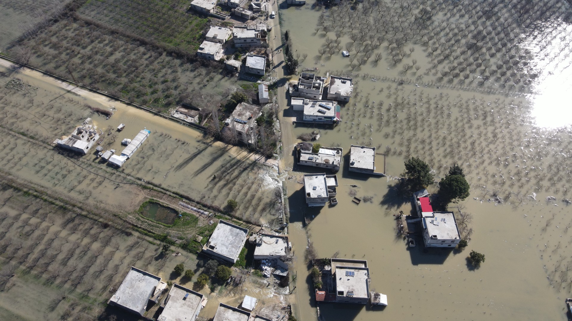 Streets, wheat and bean fields were completely flooded in Al-Taloul village near the Syrian-Turkish border after a dam collapsed in the aftermath of last week's deadly earthquake (MEE/Yousef Ghraibi)