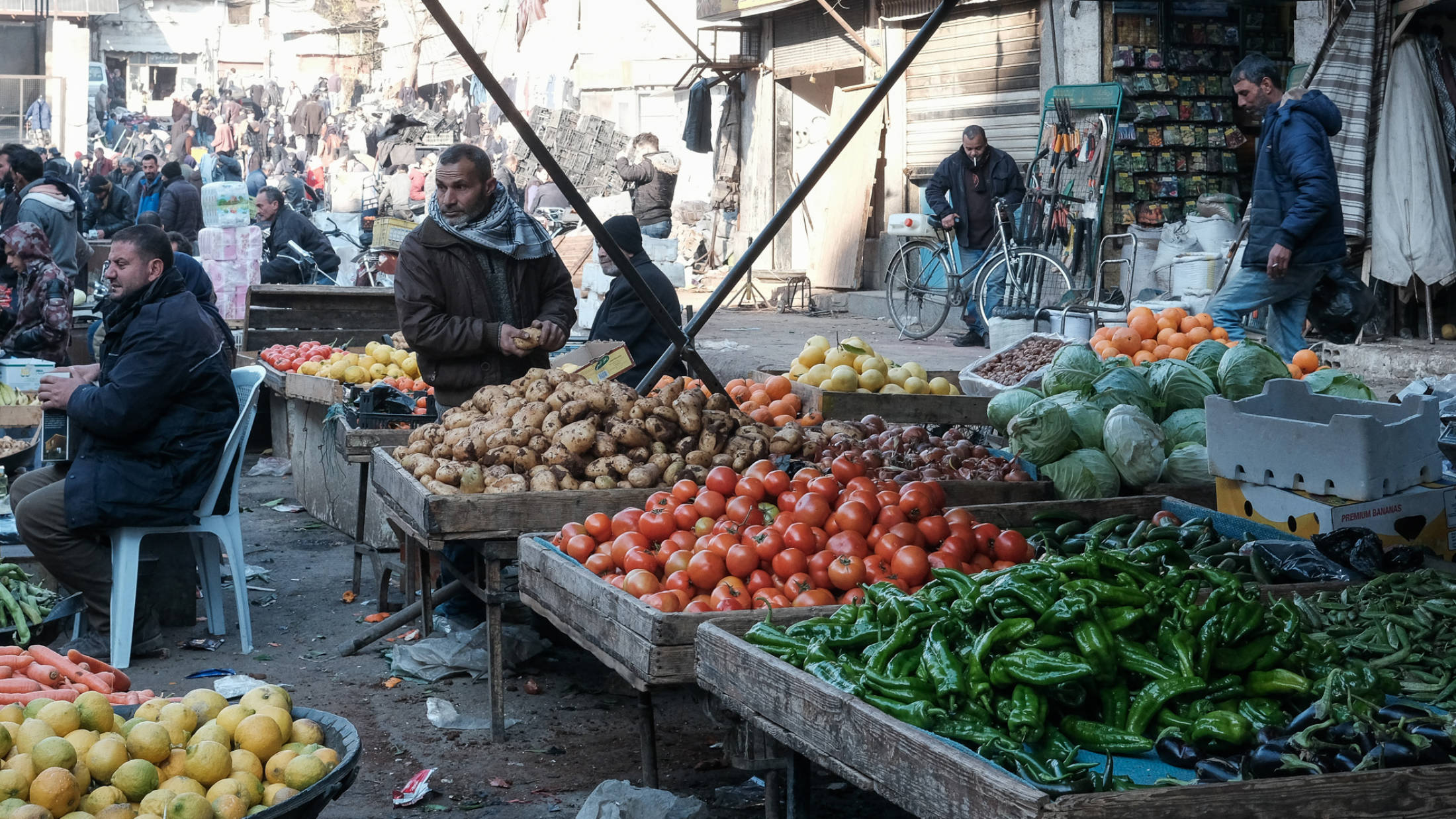 Vegetable stalls at the Souk al-Hal in downtown Damascus, 7 January 2025 (Andrew Waller/MEE)