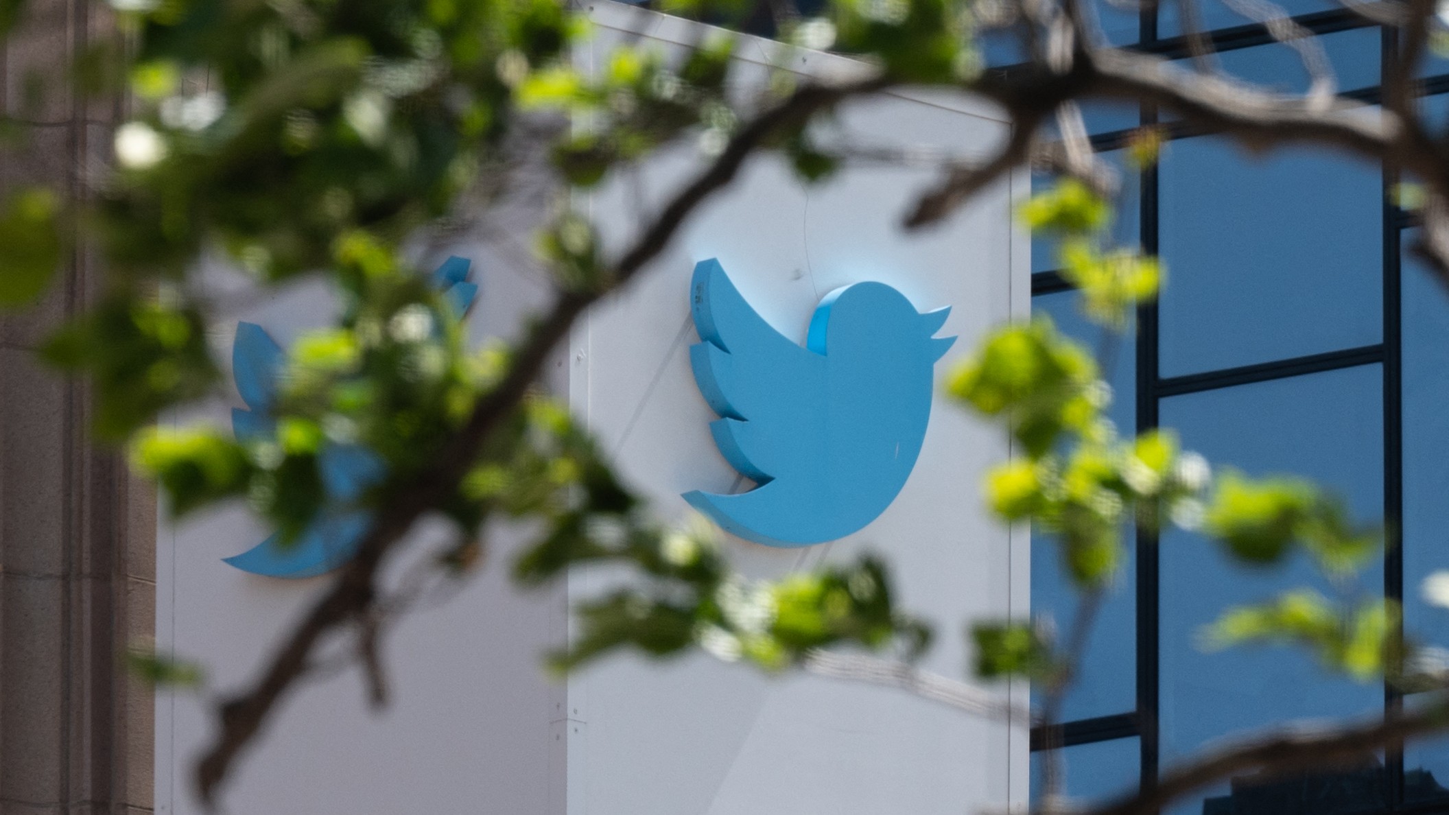twitter hq logo