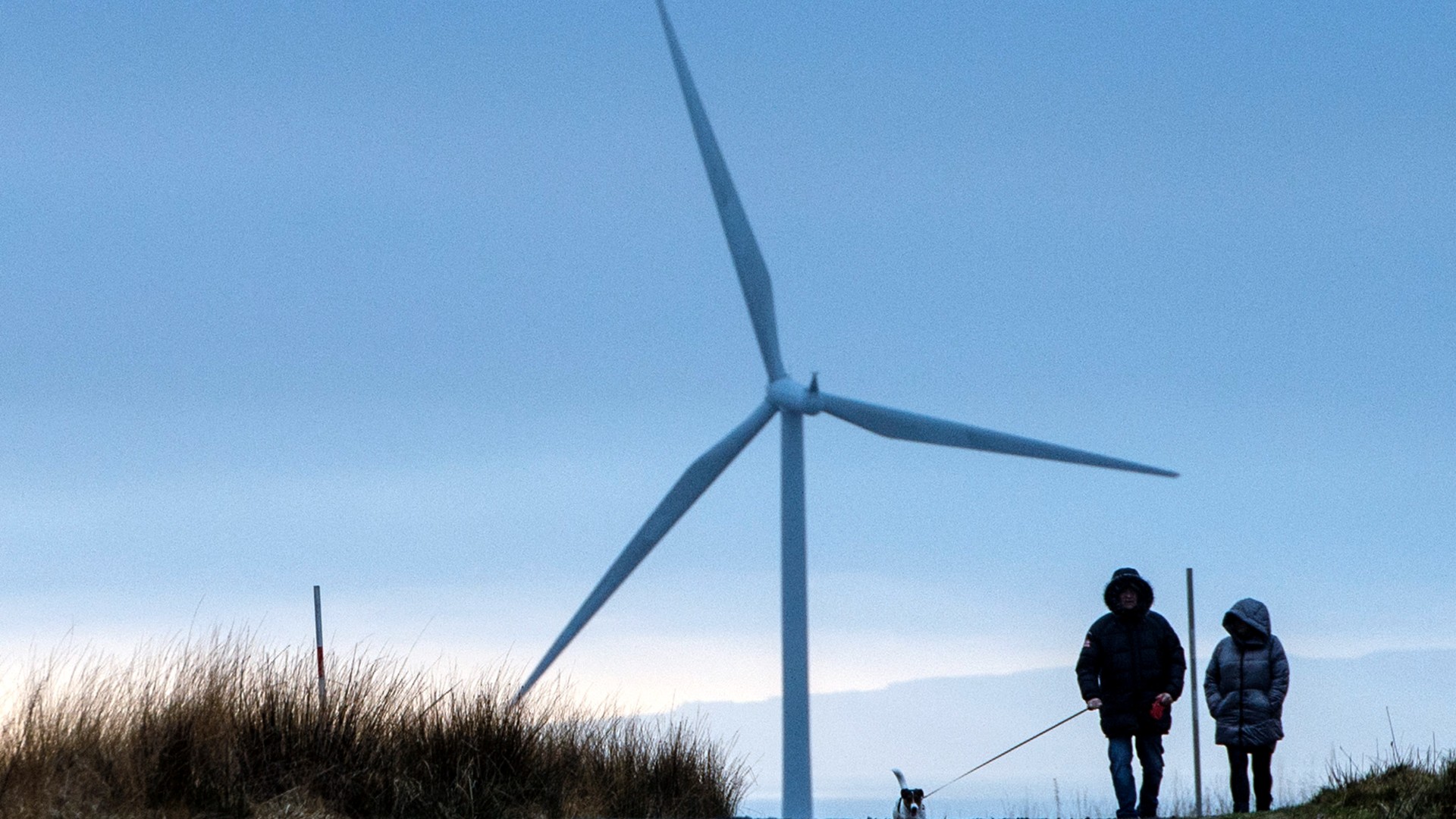 Wind turbines operated by ScottishPower Renewables, are pictured at Whitelee Onshore Windfarm on Eaglesham Moor, southwest of Glasgow, on January 17, 2022 AFP