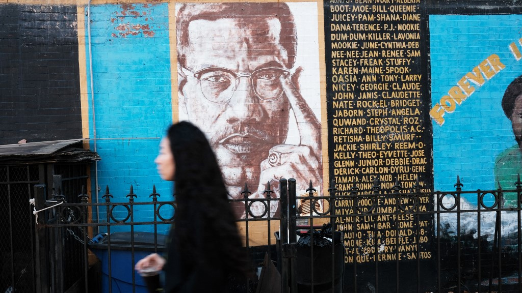 A portrait of Malcolm X is seen as part of a mural of iconic civil rights leaders in New York City on 18 November 2021 (Spencer Platt/Getty Images/AFP)