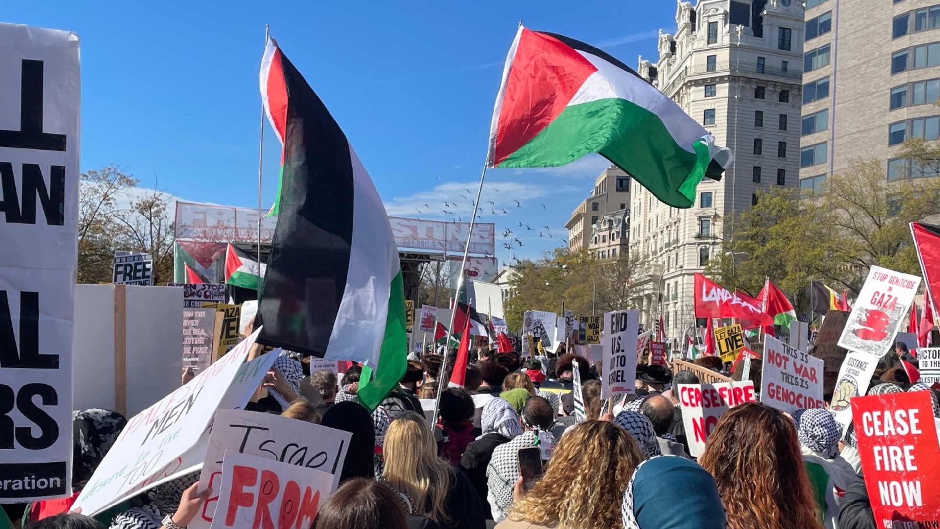 palestine protest washington dc
