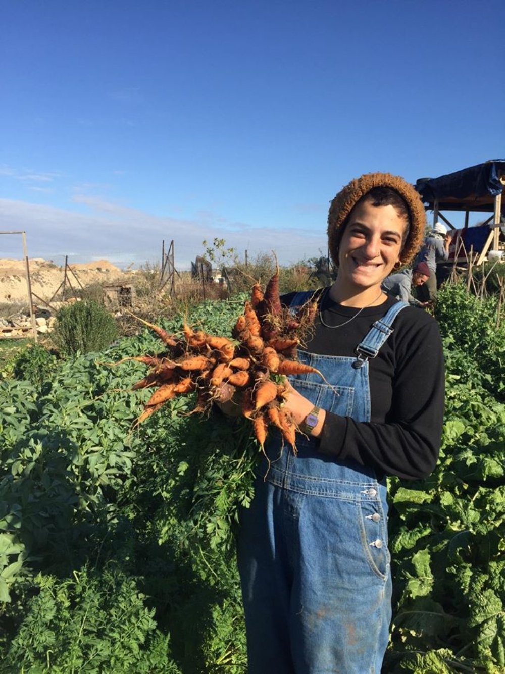 Yara Dowani s’est réfugiée dans l’exploitation « Om Sleiman » pendant le confinement visant à endiguer la propagation du coronavirus (Yara Dowani)